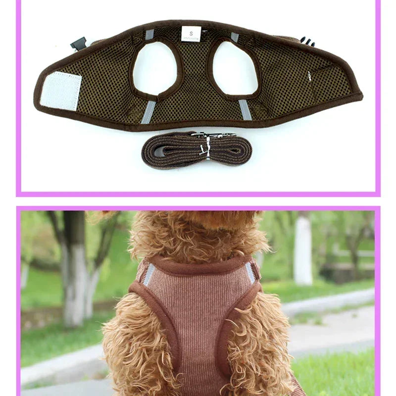 Breathable brown dog harness and matching leash on small dog outdoors