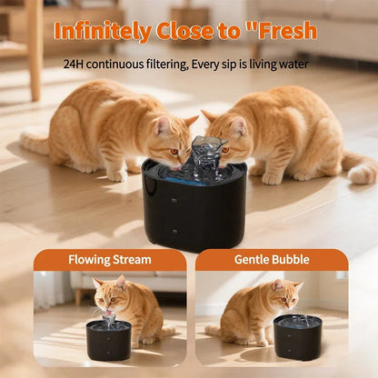 Two orange cats drink from a black automatic cat water fountain with continuous filtration indoors.