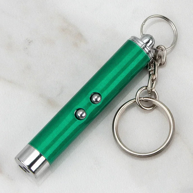 Green metal pet laser pointer toy with keychain for interactive cat play