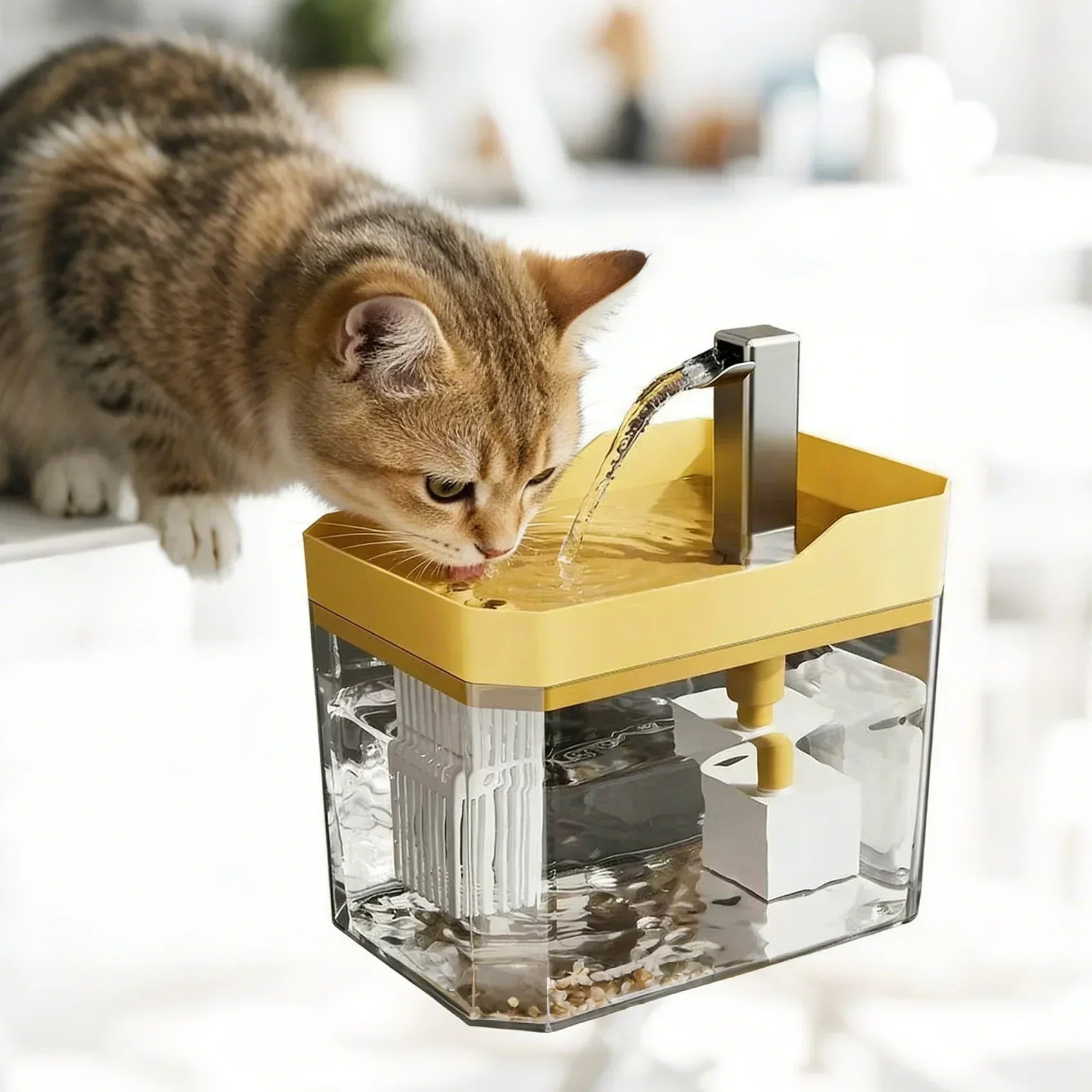Tabby cat drinking from modern pet water fountain with yellow top and transparent base.