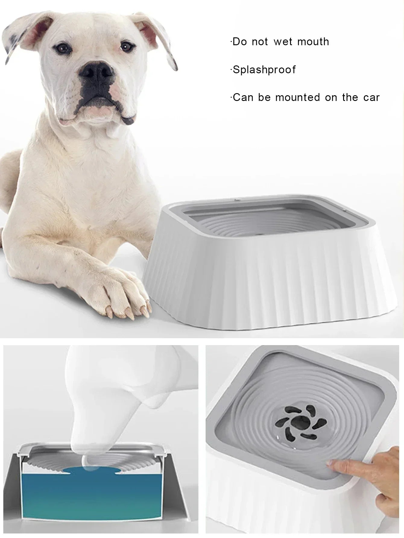 Dog beside a splashproof pet water bowl with anti-spill design, suitable for cars.