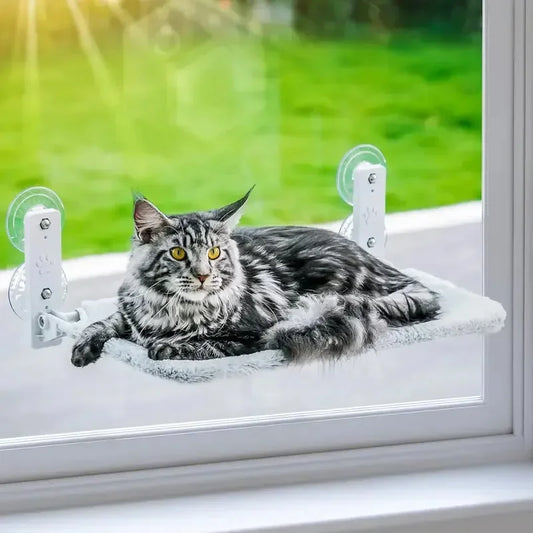 Gray tabby cat lounging on a window-mounted cat perch with suction cups, sunny view outside