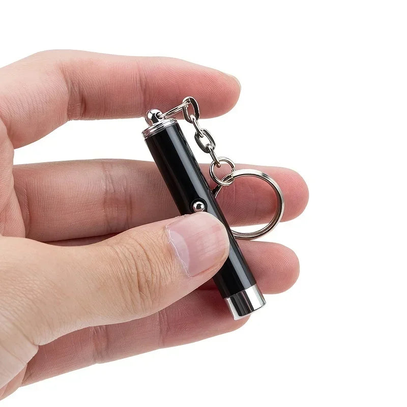 Hand holding a black laser pointer keychain for interactive cat and dog play
