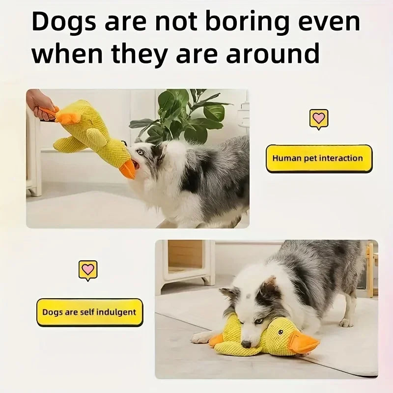 Dog playing with a yellow plush duck toy indoors, promoting interactive pet toys.