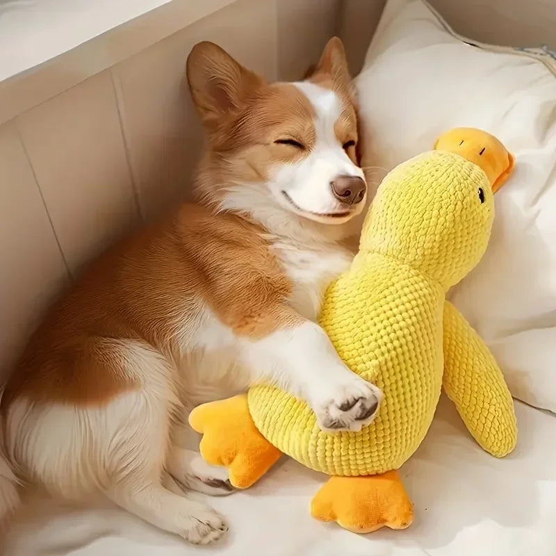 Corgi dog cuddling a yellow plush duck toy on a bed, cute pet toy for dogs