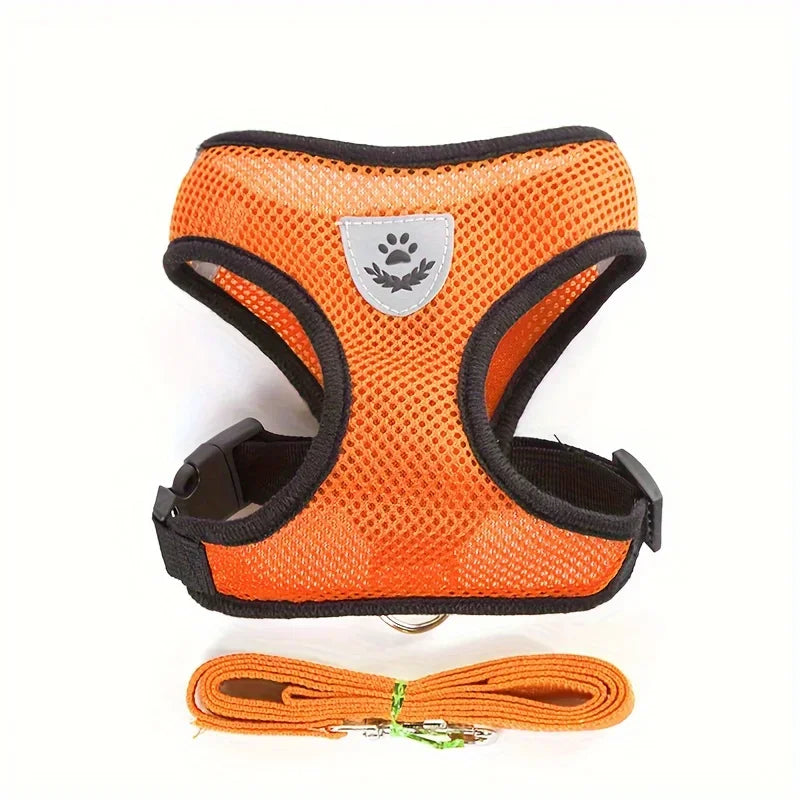 Orange mesh dog harness with reflective patch and matching leash on white background