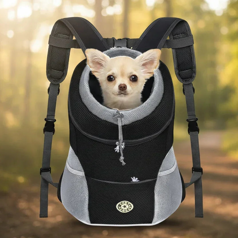 Small dog in a black and gray pet backpack carrier on a forest trail