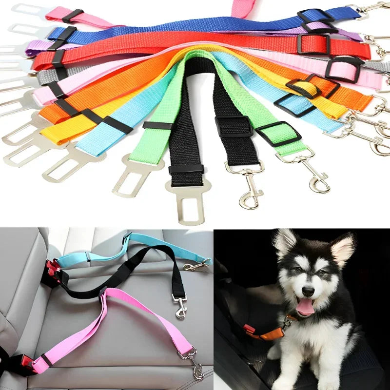 Assorted colorful adjustable dog car seat belts and a dog secured with an orange pet seat belt in a car.