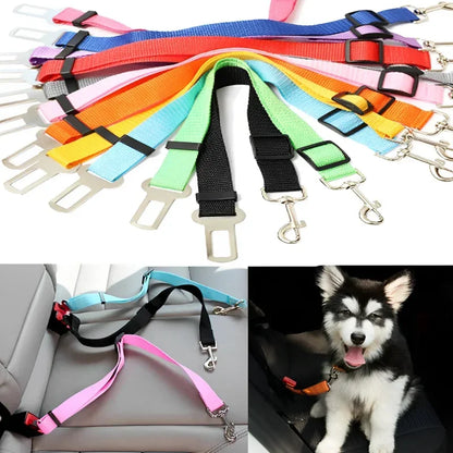 Assorted colorful adjustable dog car seat belts and a dog secured with an orange pet seat belt in a car.