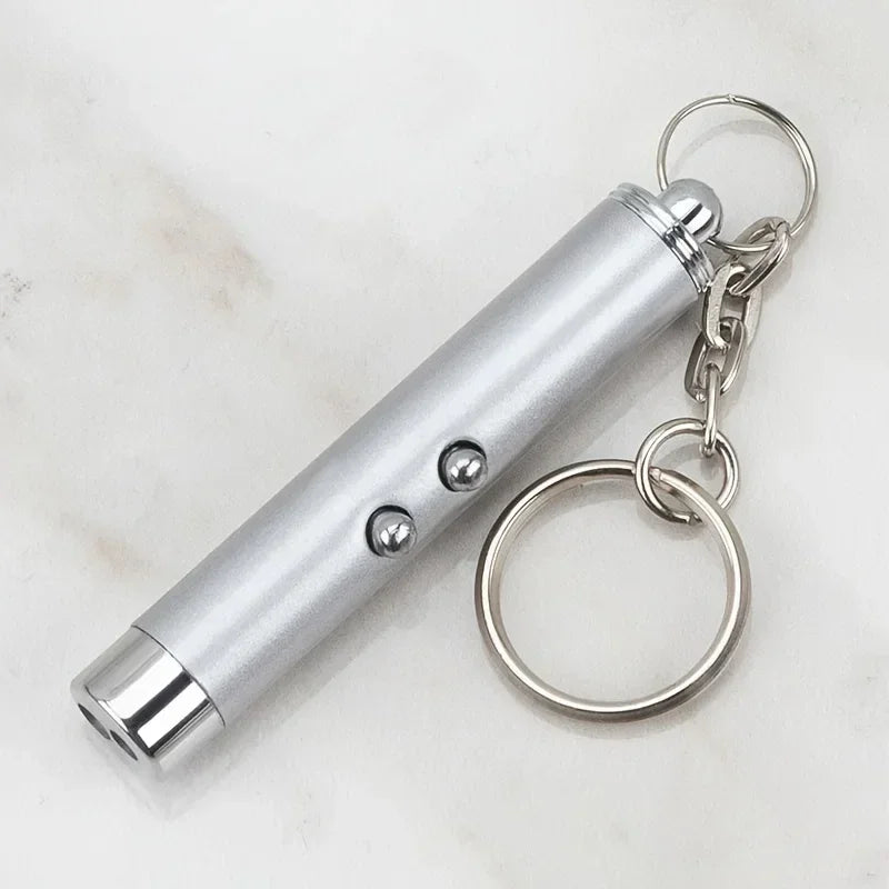 Silver pet laser pointer toy keychain with two buttons on a white background