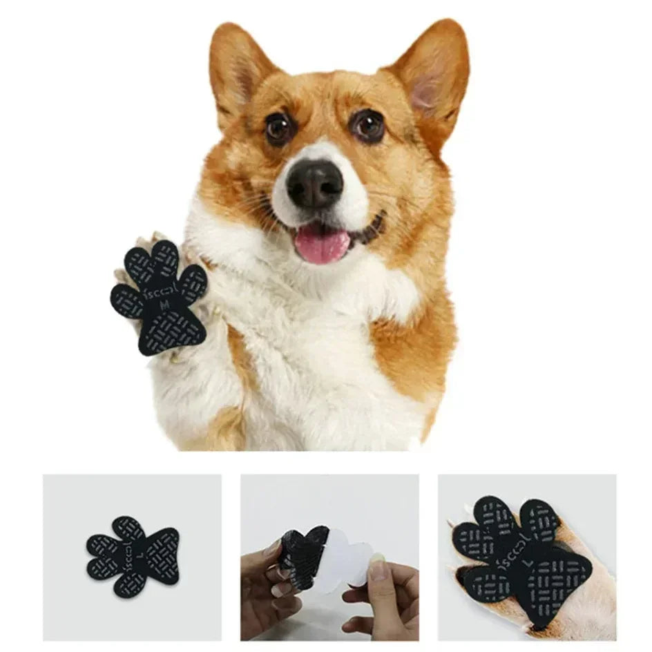 Corgi dog with black paw-shaped anti-slip pad on paw, close-up of pad and application process.