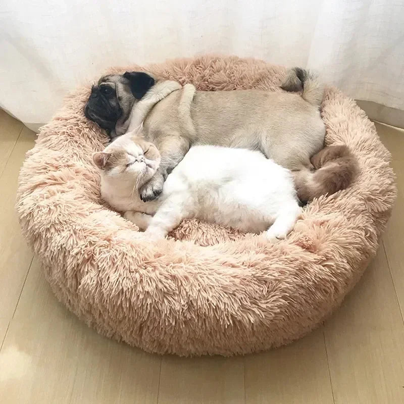 Dog and cat cuddling together in a round fluffy pet bed on hardwood floor