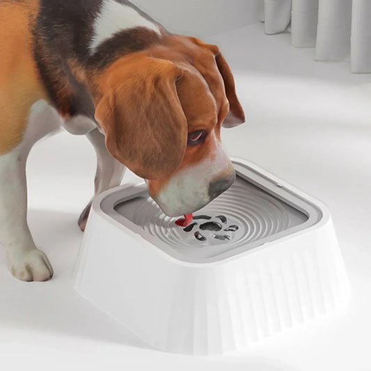 Beagle drinking from a white slow water feeder bowl for dogs on a clean surface