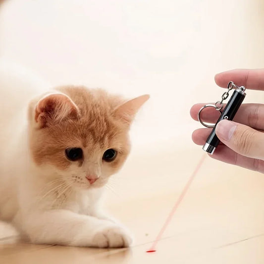 Cat chasing red laser pointer toy on floor, interactive pet toy for cats
