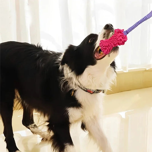 Dog playing indoors with a pink and purple durable tug toy