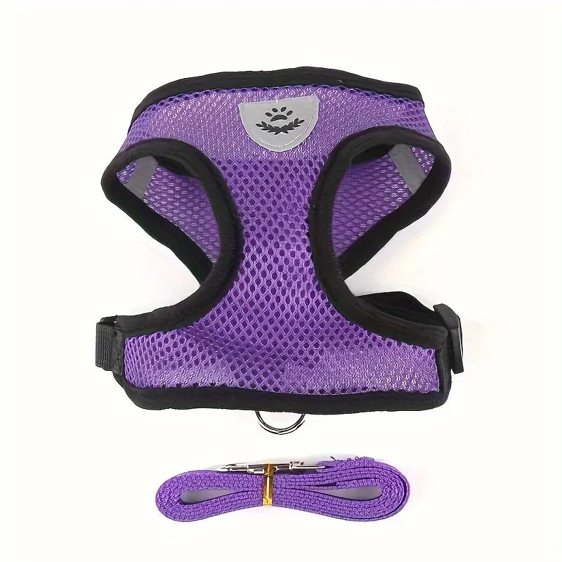 Purple mesh adjustable dog harness with matching leash, breathable pet walking set