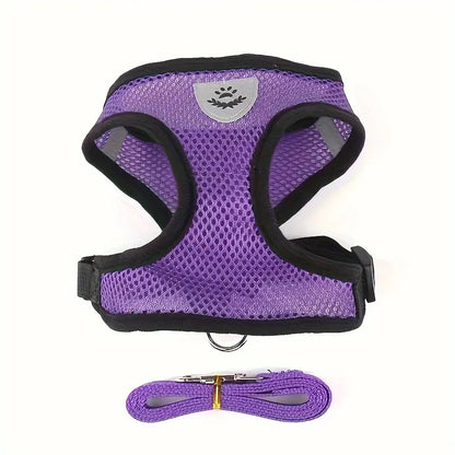 Purple mesh adjustable dog harness with matching leash, breathable pet walking set
