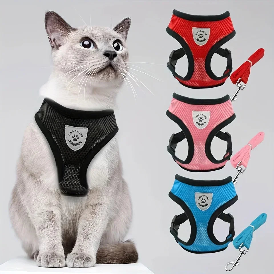 Cat wearing black mesh harness, with red, pink, and blue cat harness and leash sets displayed