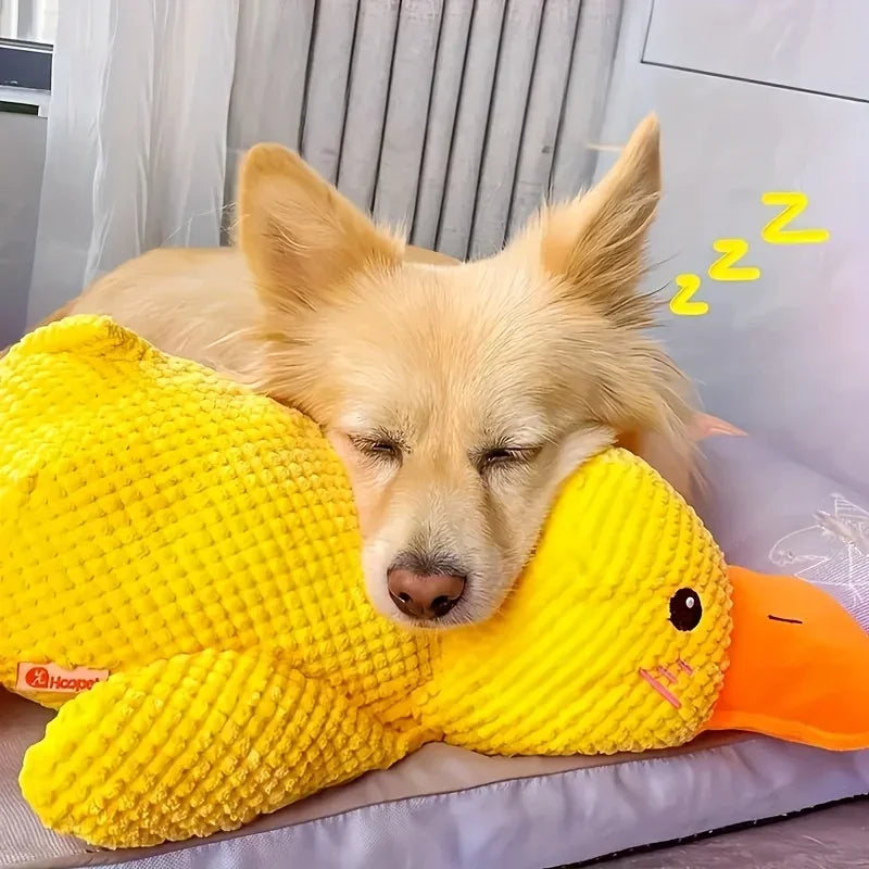 Dog sleeping with head on plush yellow duck toy on a pet bed indoors