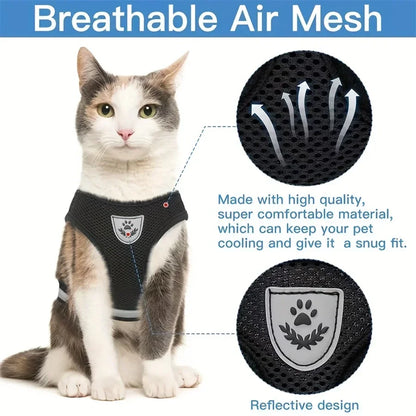 Cat wearing black breathable mesh harness with reflective design, ideal for pet comfort.