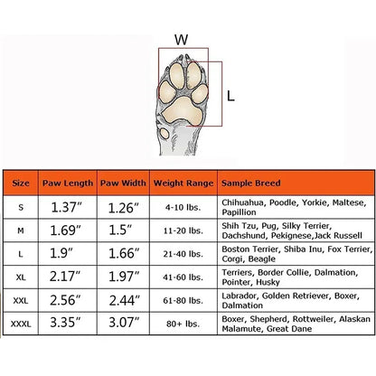 Dog paw size chart with paw length, width, weight range, and sample breeds listed by size.