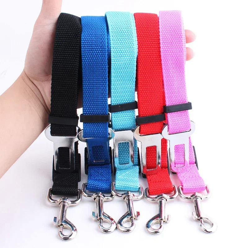 Assorted colorful adjustable dog seatbelt leashes with metal clips for pet safety