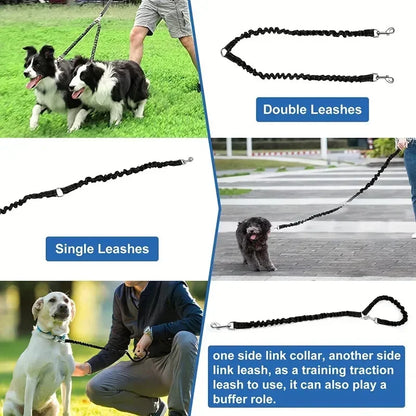 Adjustable dog leash for walking one or two dogs, features single and double leash options.