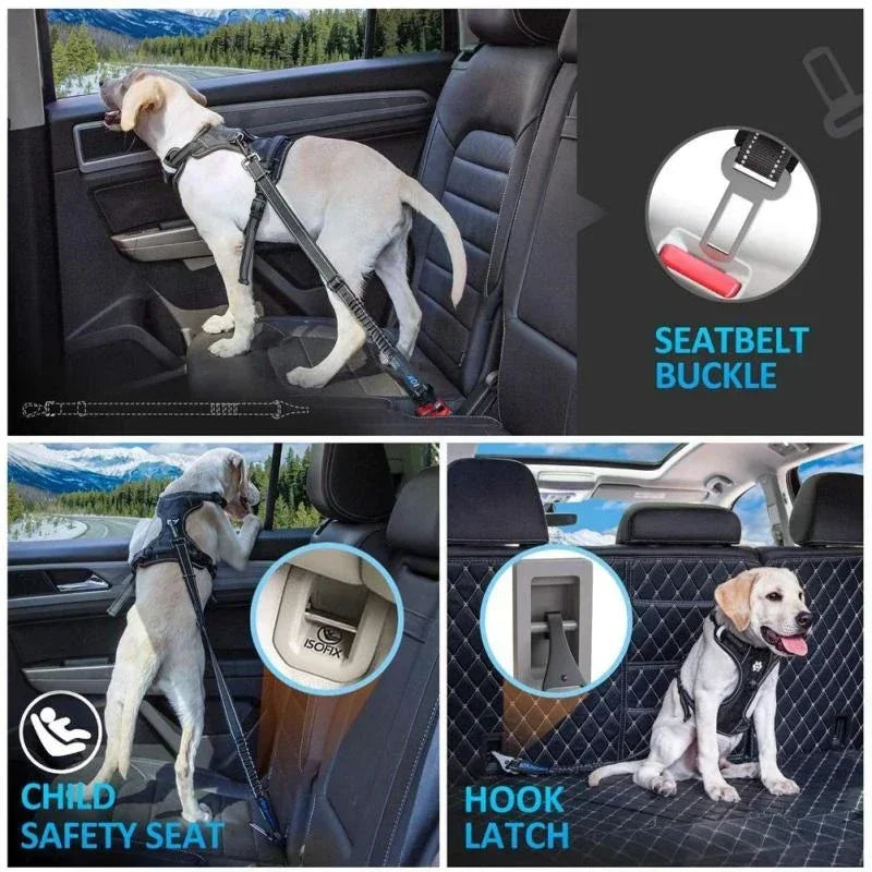 Dog wearing a harness secured in car with dog safety seat belt, seatbelt buckle, child safety seat, and hook latch options shown.