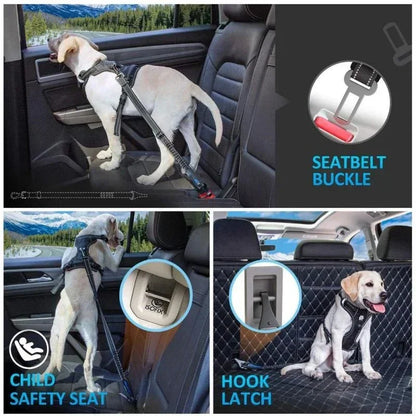 Dog wearing a harness secured in car with dog safety seat belt, seatbelt buckle, child safety seat, and hook latch options shown.