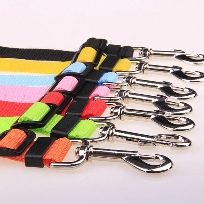 Colorful nylon dog leashes with metal clips for pets, arranged in a row