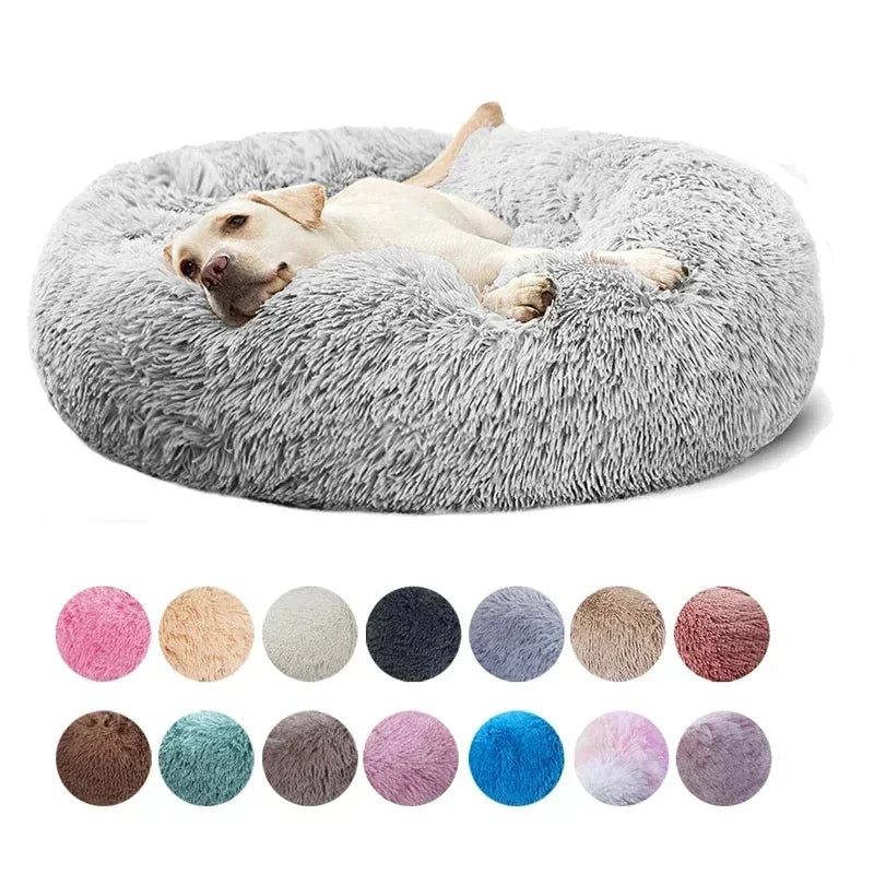 Dog relaxing on a plush round grey pet bed with multiple color options displayed below.
