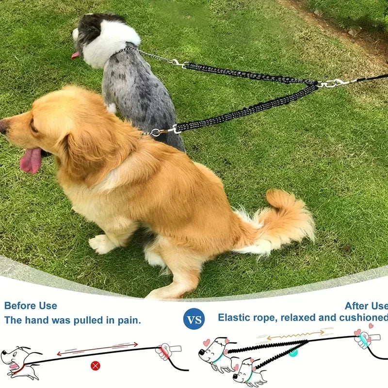 Two dogs on grass using a dual elastic dog leash, with illustrated leash comparison below.