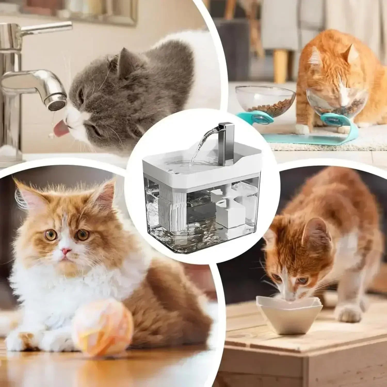 Collage of cats drinking water and eating, with a pet water fountain for cats and dogs in center.