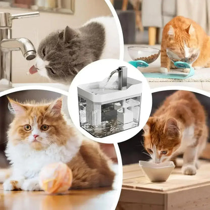 Collage of cats drinking water and eating, with a pet water fountain for cats and dogs in center.