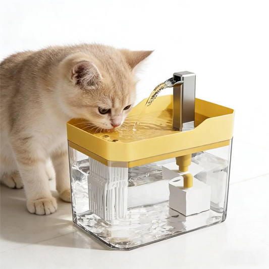 Kitten drinking from automatic pet water fountain with yellow top and clear base