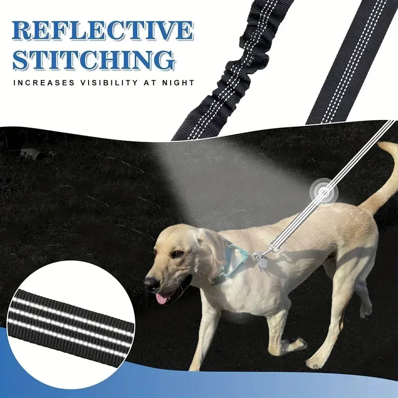 Yellow Labrador dog walking at night with a black dog leash featuring reflective stitching.