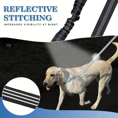 Yellow Labrador dog walking at night with a black dog leash featuring reflective stitching.