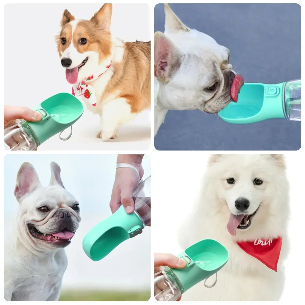 Dogs drinking water from portable pet water bottles with green dispensers